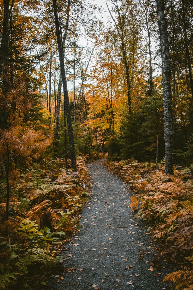 Secure Multi-Party Computation